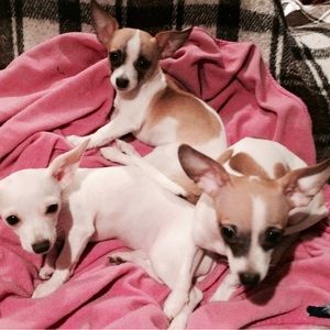 **** PLZ TAKE A SECOND TO READ ****